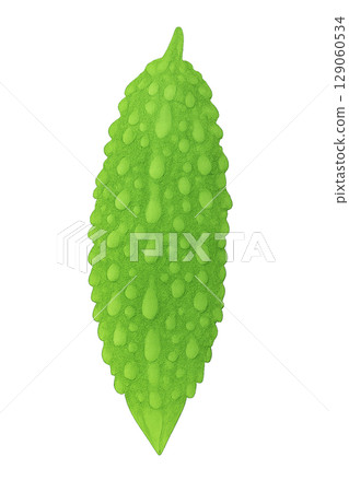 新鮮苦瓜插圖素材 129060534