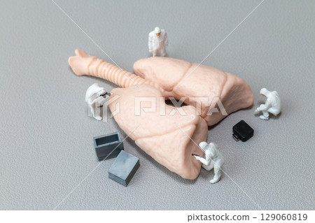 Miniature Scientists Investigating Human Lung Model 129060819
