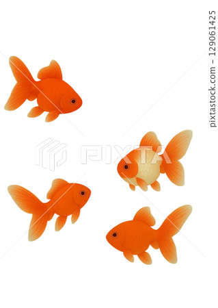 Goldfish Goldfish 129061425