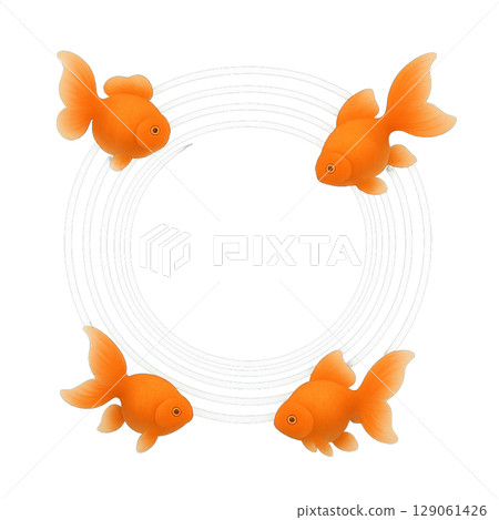 金魚 129061426