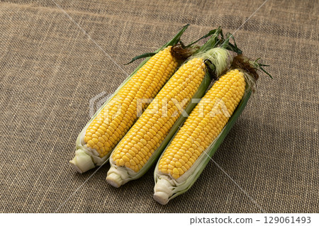 絲質玉米 129061493