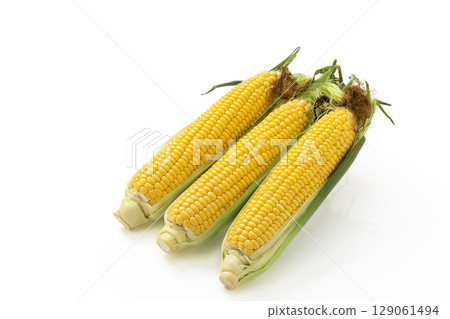 絲質玉米 絲質玉米 129061494
