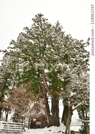 Takayanagi thatched roof circular village in winter (Niigata Prefecture) Takayanagi thatched roof circular village in winter (Niigata Prefecture) 129061597