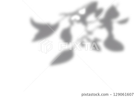 Black and White abstract background texture of shadows leaf on a white wall. Black and White abstract background texture of shadows leaf on a white wall. 129061607