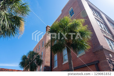 Historic brick building with palm trees under a bright blue sky.  129061832