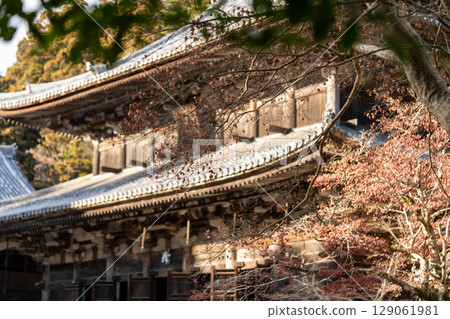 書寫山圓寺：深秋的紅葉與古剎的迷人景色 129061981