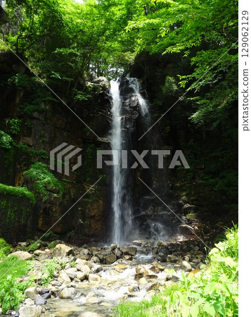 Ono Falls surrounded by fresh greenery in early summer 129062129