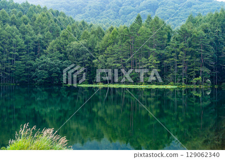 夏天的射擊池 129062340