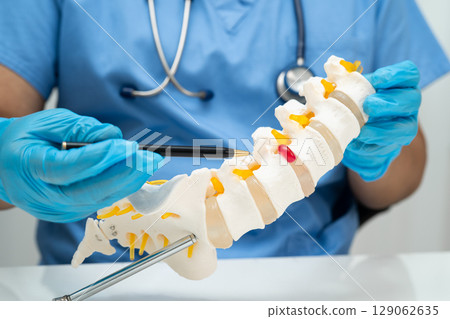 Asian doctor holding spinal nerve and bone model, Lumbar spine displaced herniated disc fragment for treatment medical in the orthopedic department. Asian doctor holding spinal nerve and bone model, Lumbar spine displaced herniated disc fragment for treatment medical in the orthopedic department. 129062635