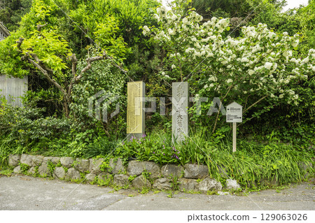 Takechi Hanpeita's former residence, Kochi City, Kochi Prefecture Takechi Hanpeita's former residence, Kochi City, Kochi Prefecture 129063026