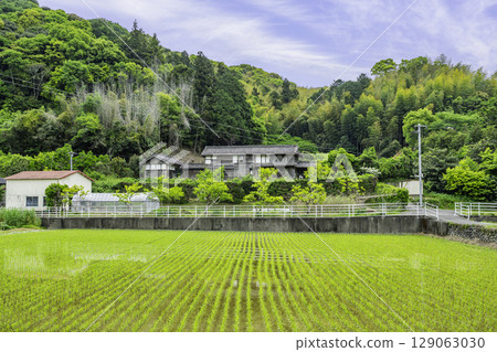 Takechi Hanpeita's former residence, Kochi City, Kochi Prefecture 129063030