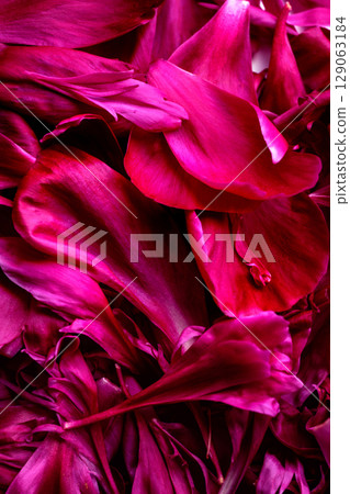 Bright pink peony petals background. Macro photography Bright pink peony petals background. Macro photography 129063184