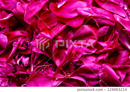 Macro background of pink peony petals with rich texture and romantic mood. Macro background of pink peony petals with rich texture and romantic mood. 129063214