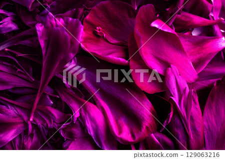 Macro background of pink peony petals with rich texture and romantic mood. Macro background of pink peony petals with rich texture and romantic mood. 129063216