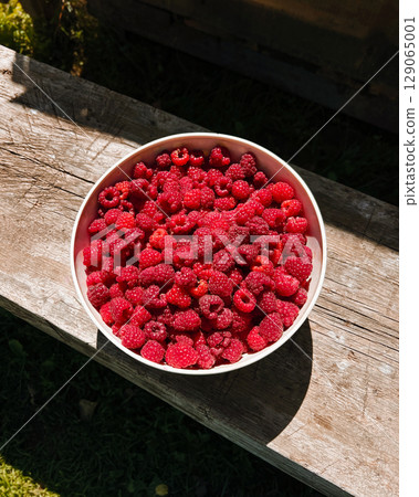 Freshly harvested raspberries in a white bowl resting on a rustic wooden surface, surrounded by natural greenery, showcasing vibrant colors and organic textures in a sunny outdoor setting Freshly harvested raspberries in a white bowl resting on a rustic wooden surface, surrounded by natural greenery, showcasing vibrant colors and organic textures in a sunny outdoor setting 129065001