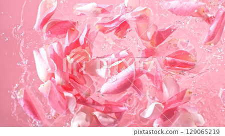 Rose blossoms falling on water surface, top down view. 129065219
