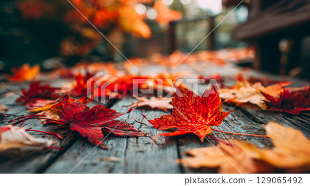 Close up of colorful fallen leaves in red, orange and yellow colors scattered on wooden path with blurred background, autumn atmosphere 129065492