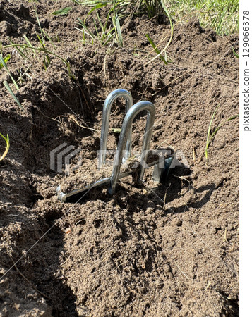 Mechanical mole trap made of galvanized steel. Installed in a mole burrow. Mole trap. Mechanical mole trap made of galvanized steel. Installed in a mole burrow. Mole trap. 129066378