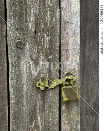 Hasp with padlock on a wooden door. Metal parts rusty and covered with lichen. Close-up. 129066381