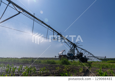 Autonomous machine is moving watering pivot along irrigation canal 129066481