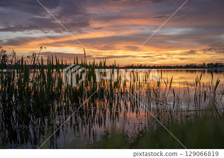 Lake sunset in Wellen park in North Port, Florida Lake sunset in Wellen park in North Port, Florida 129066819