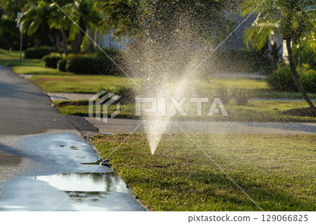 Irrigation lawn sprinkler spreading water over backyard grass in dry season to keep it green and fresh 129066825