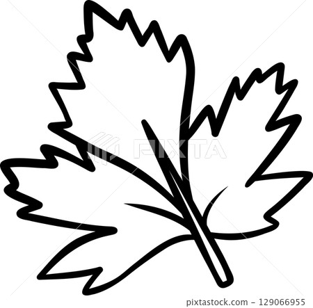 a simple vector icon of a cilantro leaf, a black and white hand-drawn icon 129066955