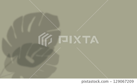 shadow from plant branches on green background shadow from plant branches on green background 129067209