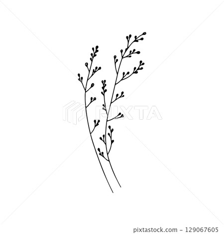 Single Botanical Twig Drawing. A hand drawn floral branch with small leaves in a natural and minimalist style. 129067605