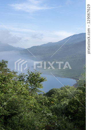 群馬縣野反湖的夏季風景 - 鬱鬱蔥蔥的綠色植物和湖面的絕美景色 129067629