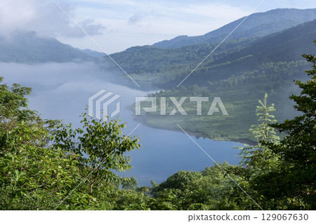 Summer scenery of Lake Nozori in Gunma Prefecture - A spectacular view of lush greenery and the lake surface 129067630