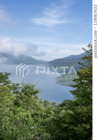群馬縣野反湖的夏季風景 - 鬱鬱蔥蔥的綠色植物和湖面的絕美景色 129067632