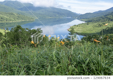 群馬縣野反湖的夏季風景 - 鬱鬱蔥蔥的綠色植物和湖面的絕美景色 群馬縣野反湖的夏季風景 - 鬱鬱蔥蔥的綠色植物和湖面的絕美景色 129067634
