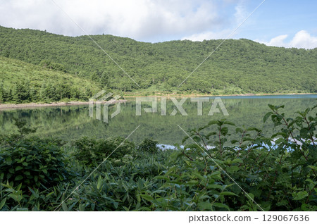 被蔥鬱山環繞的野反湖風景 被蔥鬱山環繞的野反湖風景 129067636