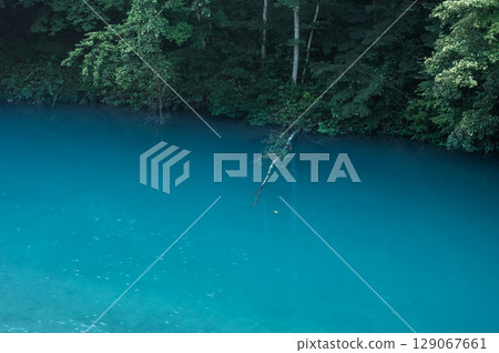 白田水壩的湖面呈現翠綠色，周圍環繞著茂密的綠色植物 129067661