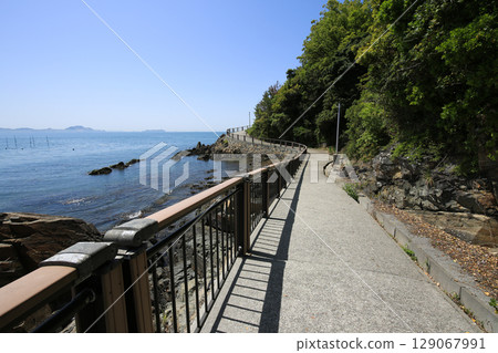 兵庫縣赤穗市赤穗岬散步道 129067991