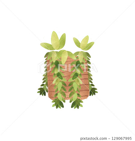 Succulent in a basket. Rustic interior decoration. Isolated watercolor illustration. 129067995