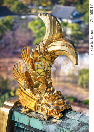 [大阪] 大阪城屋頂上矗立著一隻金色鰹魚的特寫鏡頭。 129068017