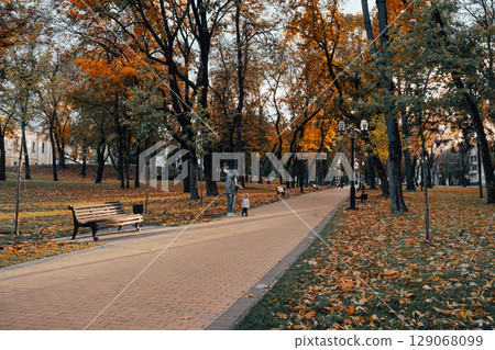 Autumn Park Pathway with Benches and Colorful Trees 129068099
