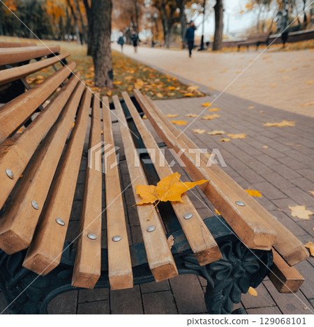 Autumn Park Pathway with Benches and Colorful Trees 129068101