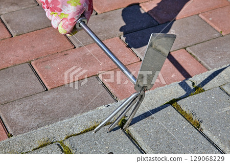 hand with hoe in garden glove clears tiled path from weeds. 129068229