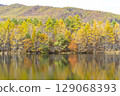 Late Autumn at Yachiho Lake 4 129068393