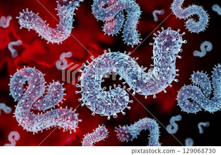 Marburg Virus Disease 129068730