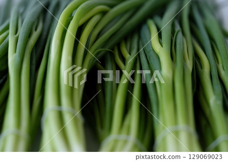 Flavorful Green Onions - Vibrant Green (Hiroshima Prefecture) 129069023