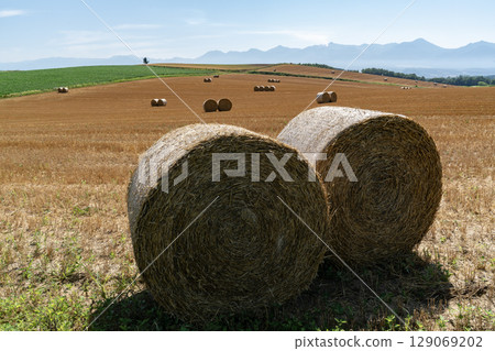 大麥卷山 129069202