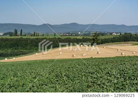 Barley Roll Hill 129069225