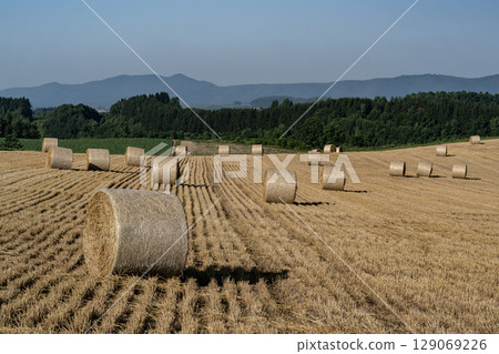 大麥卷山 大麥卷山 129069226
