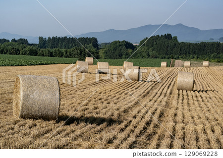 大麥卷山 大麥卷山 129069228