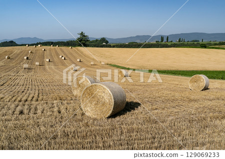 大麥卷山 129069233