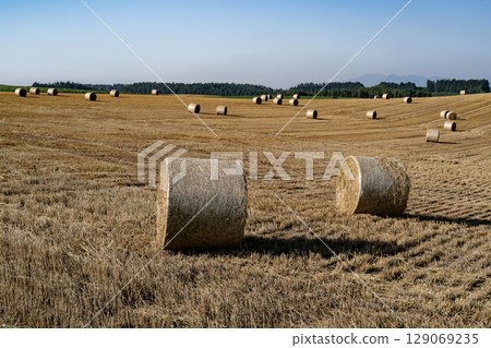 大麥卷山 129069235